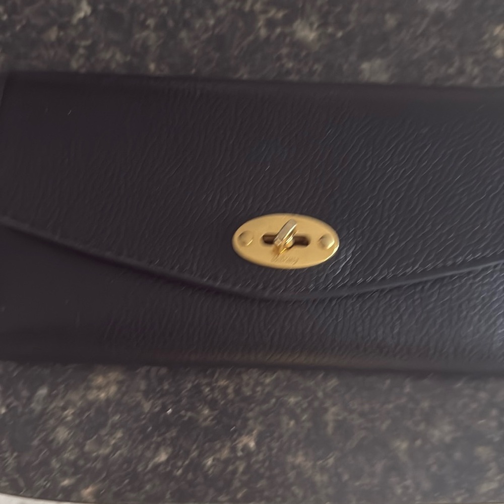COPY - Mulberry wallet